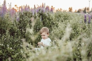 ein Junge sitzt in einer Blumenwiese