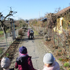 Fünf Kinder laufen auf einem Weg zwischen mehreren Schrebergärten