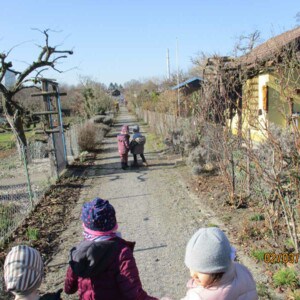 Kinder auf einem Weg zwischen verschiedenen Schrebergärten.