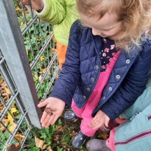 Bei den Gartenarbeiten im Kinderhaus Knax-Garten blieb den Kindern auch noch Zeit um zu Forschen und zu Entdecken.
