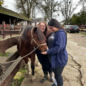 Zwei Mädchen füttern ein Pony.