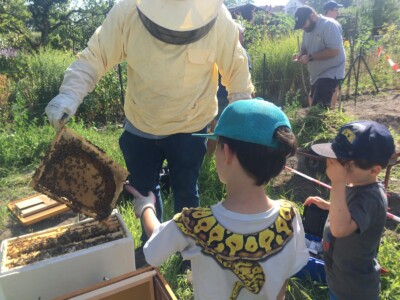 Mann zeigt Kindern einen Bienenstock.