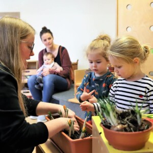 Eine Erzieherin zeigt zwei Mädchen eingepflanzte Pflanzen